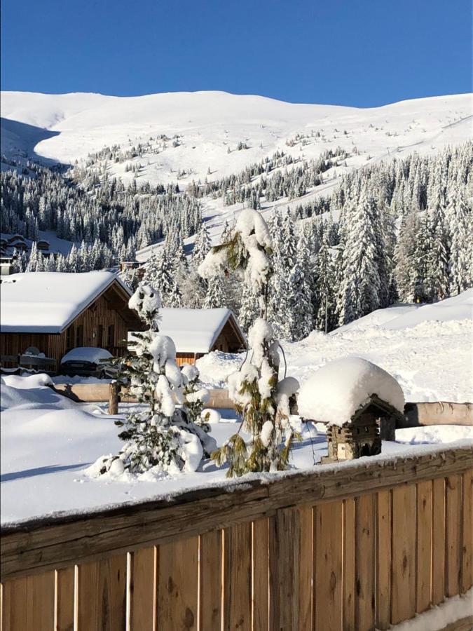 Almhaus Chalet Lachtal Oberwoelz Stadt Екстер'єр фото