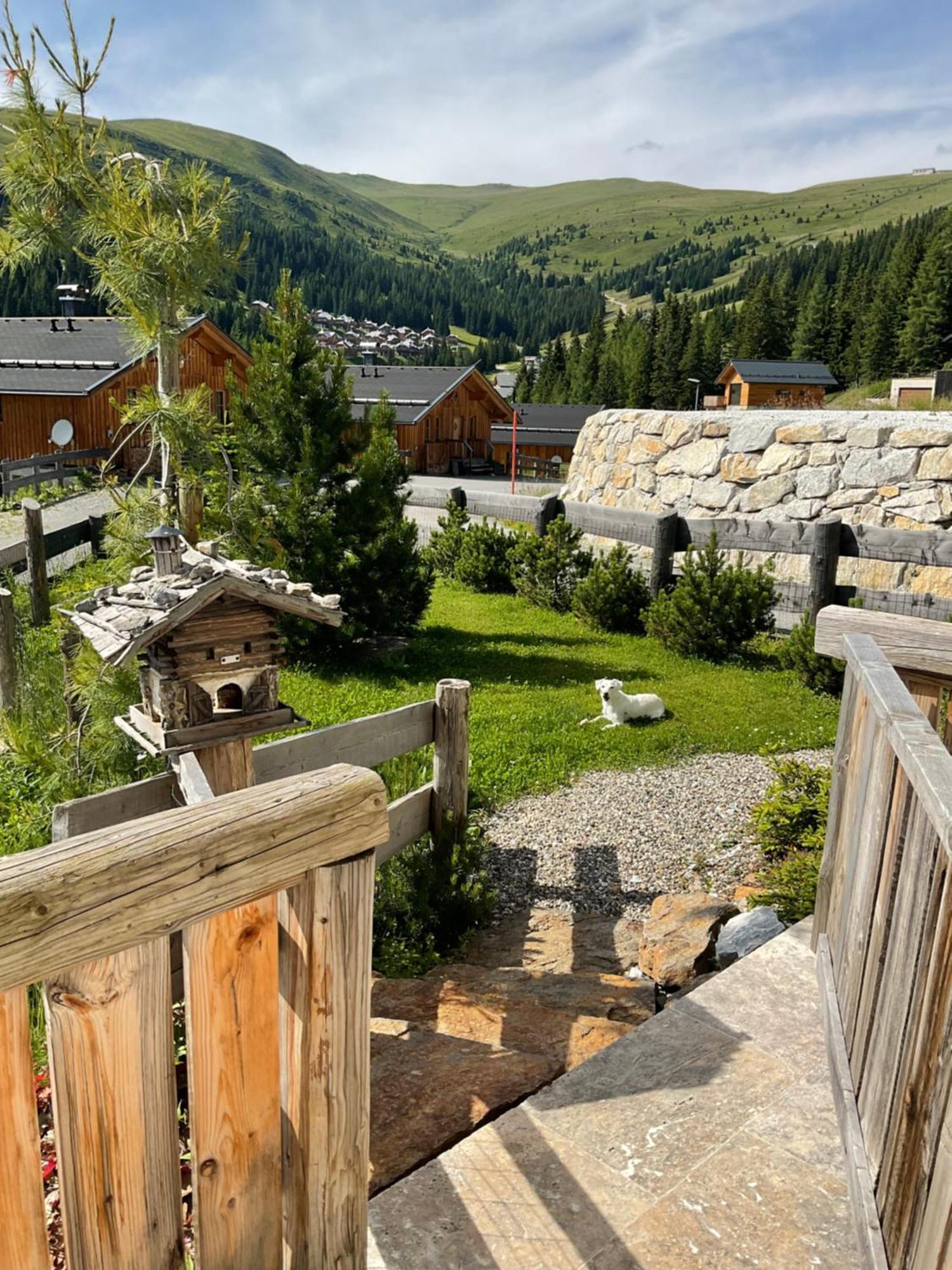 Almhaus Chalet Lachtal Oberwoelz Stadt Екстер'єр фото